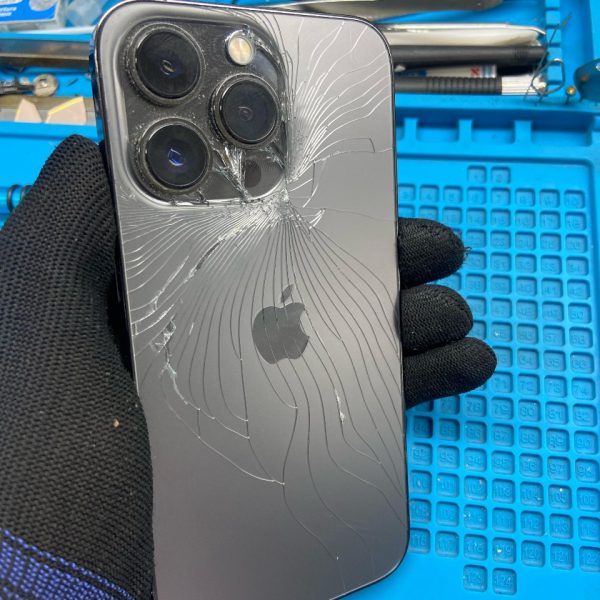 tampa iphone